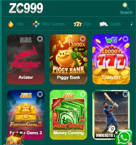 Zc999