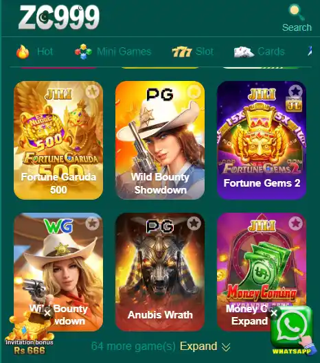 Zc999 Game