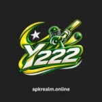 y222 game
